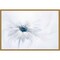 Serene White Flower by Jacky Parker 23-in. W x 16-in. H. Canvas Wall Art Print Framed in Gold